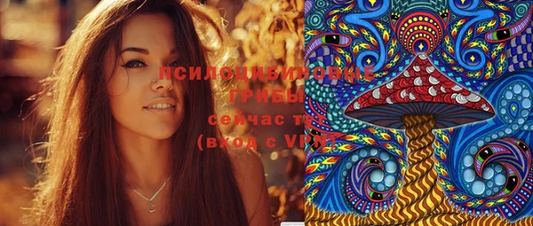индика Армянск