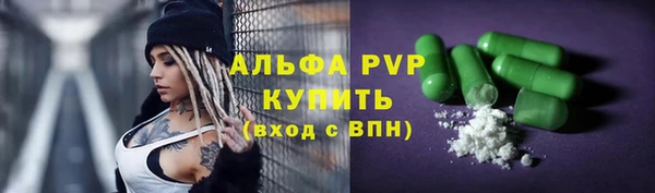 индика Армянск