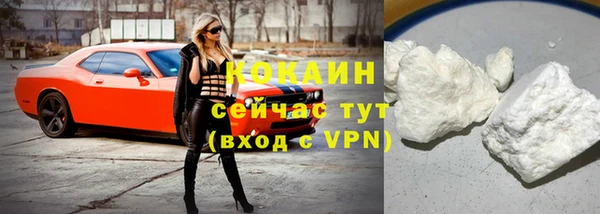 индика Армянск
