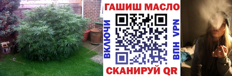 ОМГ ОМГ tor  Нурлат  Дистиллят ТГК жижа 
