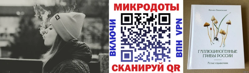 kraken как зайти  Нурлат  Псилоцибиновые грибы Cubensis 